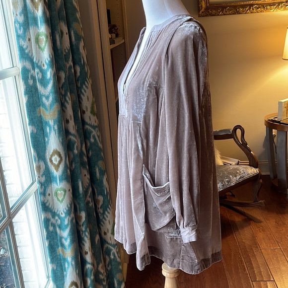Free People long sleeve taupe velvet dress - Picture 6 of 10